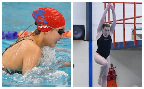 Section III will send 18 swimmers, six divers to this year's to state championships.