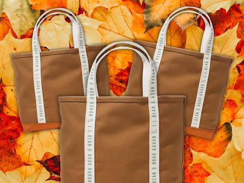 L.L. Bean’s tote bag collab with Noah Kahan is starting to sell out - Get the bag for $50