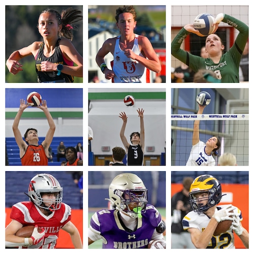 Section III athletes, teams set to take part in state playoffs on Saturday in boys and girls cross country, boys and girls volleyball and football.