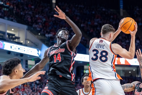 Houston forward Kalifa Sakho (14) and Auburn forward Filip Jović (38) fight for a rebound during the first half of an NCAA college basketball game, Sunday, Nov. 16, 2025, in Birmingham, Ala. (AP Photo/Vasha Hunt)