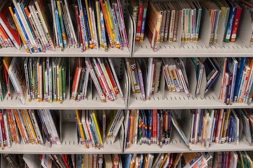 Books in a public library. (Harkim Wright Sr. | AP)