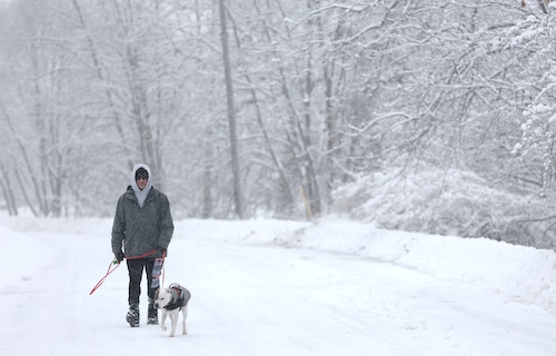A man walks his dog at Hiawatha Lake at Onondaga Park in Syrcusee.Nearly a foot of snow was dumped in Central N.Y. over night and this morning. Feb 17. 2025. dnett@syracuse.com