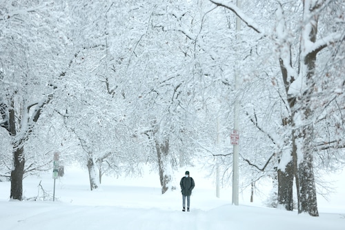 In this February 2025 file photo, a person trudges through Thornden Park in Syracuse after nearly a foot of snow fell. dnett@syracuse.com