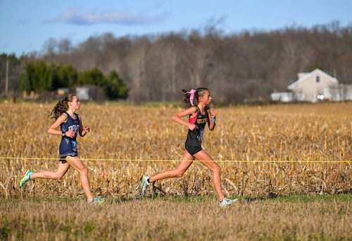 Class B Girls compete in the NYSPHSAA Section III Cross Country Championships at Mount Markham High School, Nov. 8, 2025.